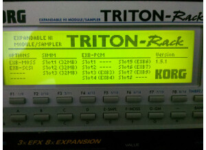 Korg Triton Rack (33688)