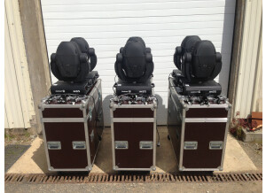 Contest MSP-575 (30058)