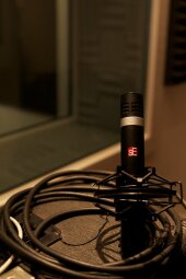 sE Electronics sE5 sE Electronics sE5