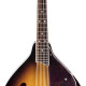 G9300 New Yorker Standard Mandolin G9300 New Yorker Standard Mandolin