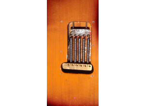 Fender Standard Stratocaster (1995)