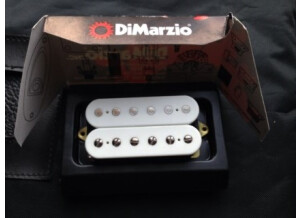 DiMarzio DP155 The Tone Zone - White