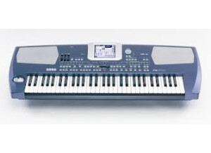 Korg Pa500 (72163)