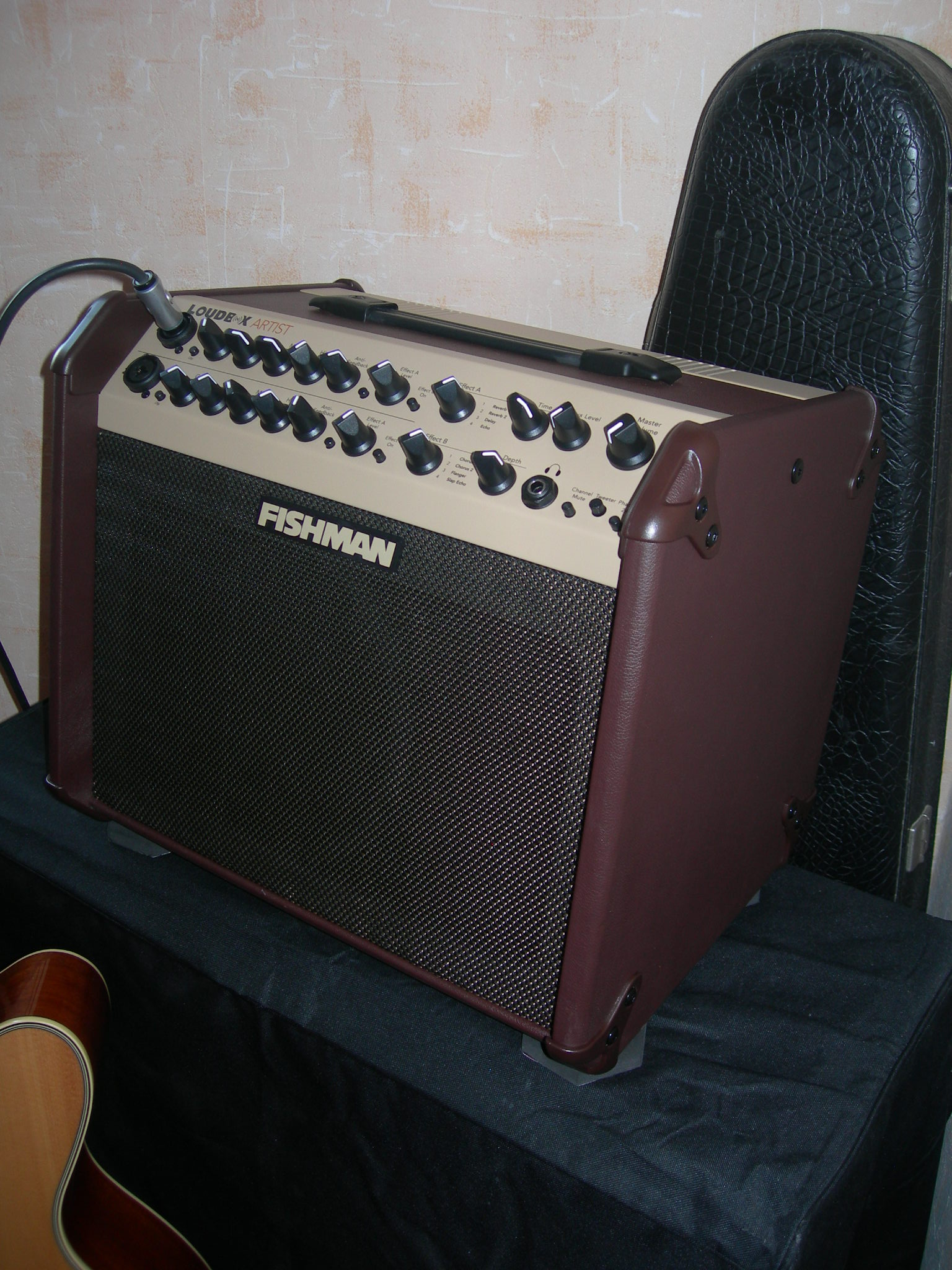 Fishman Loudbox Artist (2011-2018)