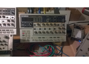 Dave Smith Instruments Evolver (14709)