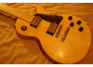 Gibson Les Paul Standard Raw Power (59472)