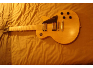 Gibson Les Paul Standard Raw Power (76713)