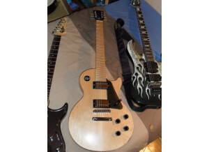 Gibson Les Paul Standard Raw Power (82270)