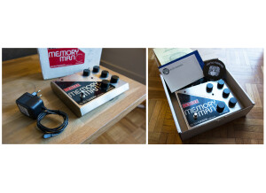 Electro-Harmonix Deluxe Memory Man