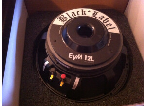 Electro-Voice EVM12L Black Label (21099)