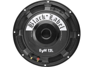 Electro-Voice EVM12L Black Label (15277)