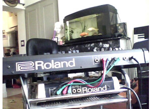 Roland SH-09 (27786)