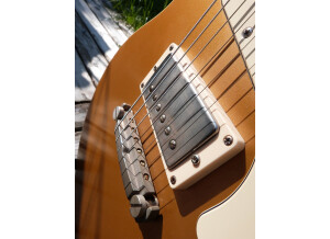 Nik Huber Guitars Krautster (41080)
