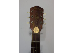 Framus Guitare Banjo 6 cordes (99255)