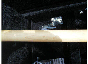 Dean Guitars MAB 1 Armorflame