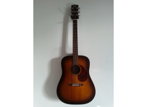 Cort Earth 100 - Natural