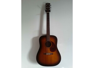 Cort Earth 100 - Natural