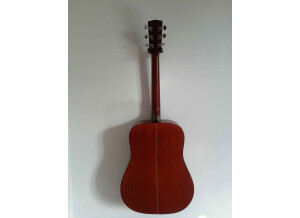 Cort Earth 100 - Natural