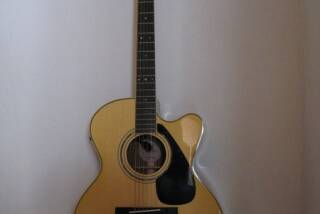 Yamaha LJX6C