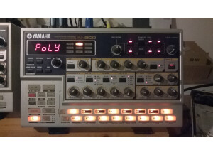 Dave Smith Instruments Evolver (68810)