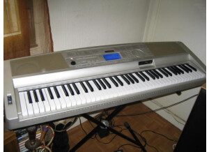 Yamaha DGX-300 (80215)