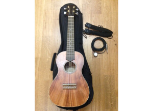 Antonio Carvalho Ukulele concert model CT