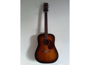 Cort Earth 100 - Natural