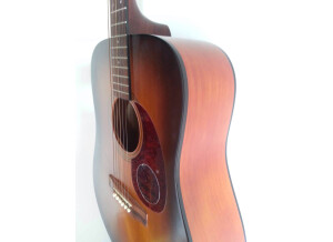 Cort Earth 100 - Natural