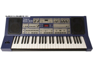 Roland EG-101 (80898)