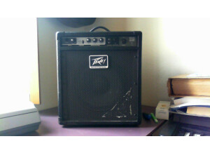 Peavey MAX 110 (66676)