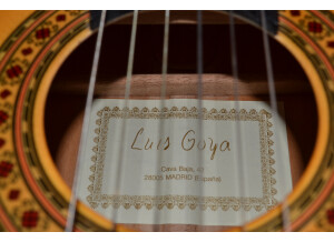 Goya Guitare Flamenca Concert