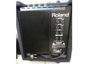 Roland PM-3 (42220)