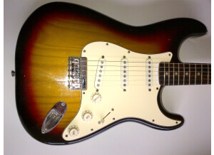 Fender Loaded Pickguard (966)