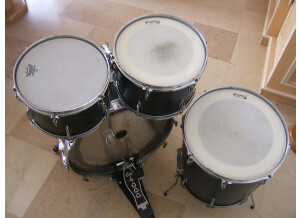 Tama 1966 (95545)