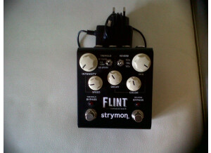 Strymon Flint (94350)