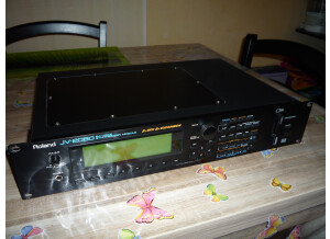 Roland JV-2080 (95150)
