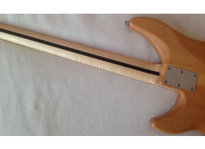 Vigier Excess Roger Glover Original - Antique Violin Maple