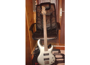 Ibanez BTB205 - Titanium Gray Flat