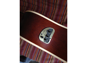 Seagull Performer CW Cedar GT Quantum