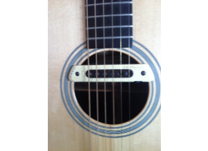 L.R. Baggs M80 (72033)