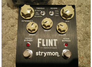 Strymon Flint (42380)