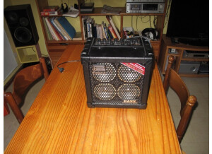 Roland MICRO CUBE BASS RX