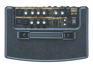 Roland AC-33 (21382)