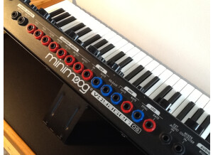 Moog Music Minimoog Voyager Old School (95445)