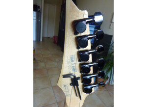 Ibanez J-Custom RG8420ZD