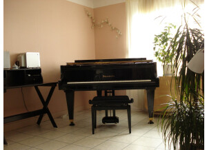 Bösendorfer Piano 1/4 de Queue 170 Noir Brillant