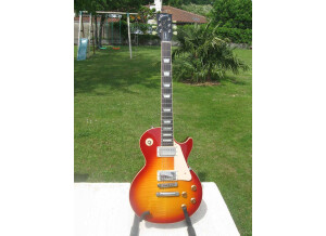 Gibson Les Paul Series - Les Paul Standard 50 (25510)