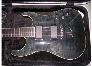 Elypse Guitars X500 Pro (42456)
