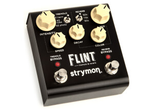 Strymon Flint (60646)