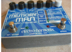 Electro-Harmonix Stereo Memory Man with Hazarai (53883)